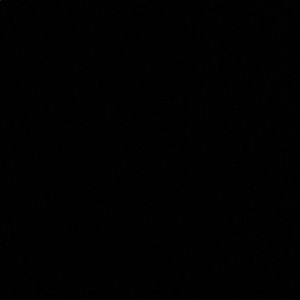 Meet your Posher, Joy